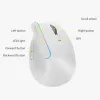 Bezprzewodowa mysz pionowa Delux M618C RGB biała
