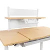 Elektryczne biurko z półką Spacetronik SPE-X116WT