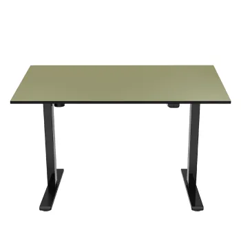 Blat biurka uniwersalny 120x60x1,8 cm Pistacjowy