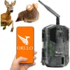 Kamera leśna Orllo Huntercam 3 GSM Fotopułapka