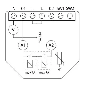 Shelly Qubino Wave 2PM
