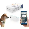 Lokalizator GPS Mking MK032 Dla Psa Koto Aplikacja