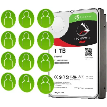 DYSK SEAGATE IronWolf ST1000VN008 1TB