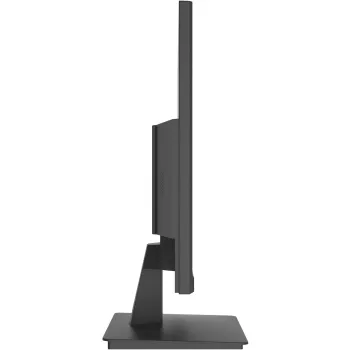 Monitor 24