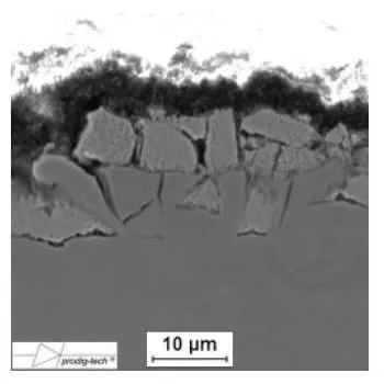 MIERNIK GRUBOŚCI LAKIERU GL-PRO-SMART-FAZ