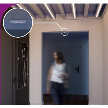 SATEL BE WAVE Bezprzewodowa czujka kurtynowa - ciemnoszara Curtain Detector DG ACD-220 DG ABAX2