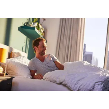 Centrala Somfy Tahoma Switch (1870594)