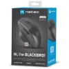 Mysz komputerowa Natec Blackbird 2