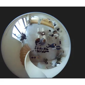 Kamera IP Reolink Fisheye FE-W Series W520 6MP 360° Wi-Fi