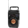 Głośnik BassBlaster Squeak SQ1001 BT, Radio FM, MP3