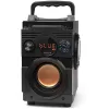 Głośnik BassBlaster Squeak SQ1001 BT, Radio FM, MP3