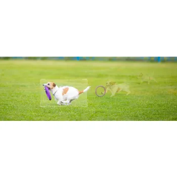 Kamera IP Imou Cruiser SC 4G 5MP IPC-K7FP-5H0TE