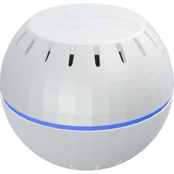 Shelly Wave H&T (2025)