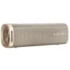Głośnik przenośny Xiaomi Sound Outdoor 30W Złoty