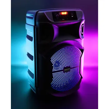 Głośnik mobilny SQUEAK SQ1006 30W Radio FM Czarny