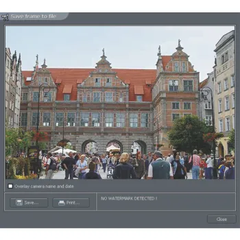 ALNET NETSTATION licencja na 1 kanał wideo do NS 4